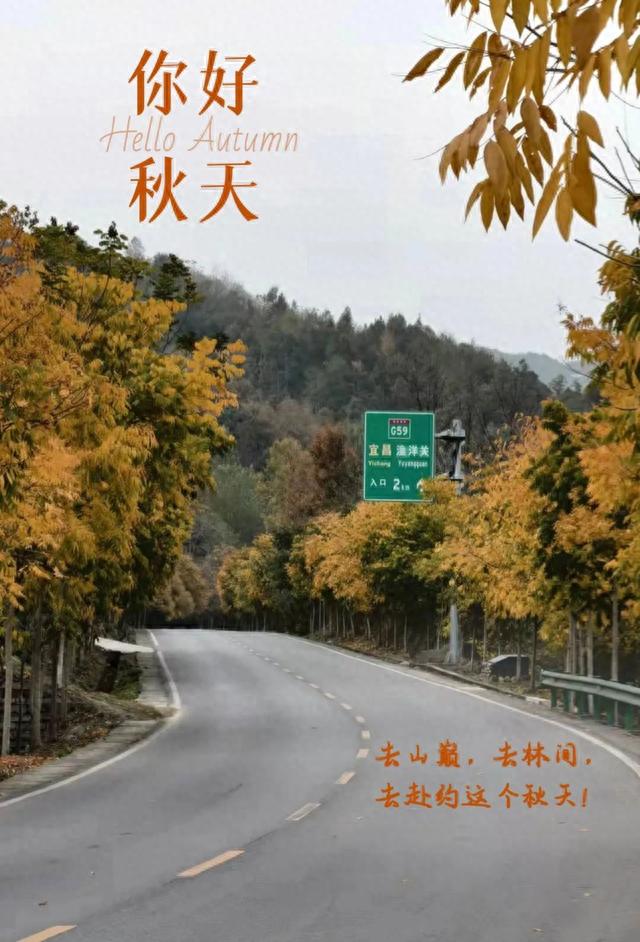 “镇”好去打卡，这里藏着宜都最美秋景……
