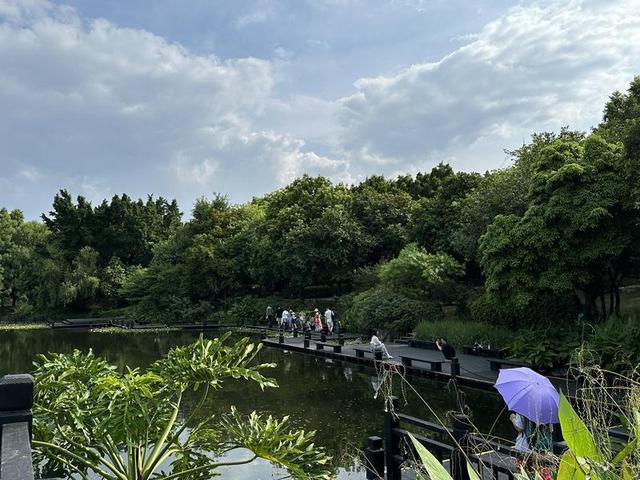 又见晴！海珠湿地3日恢复开园