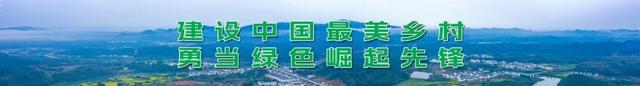秋风送爽，秘藏于婺源深山里的21条高颜值古道，等你约起！